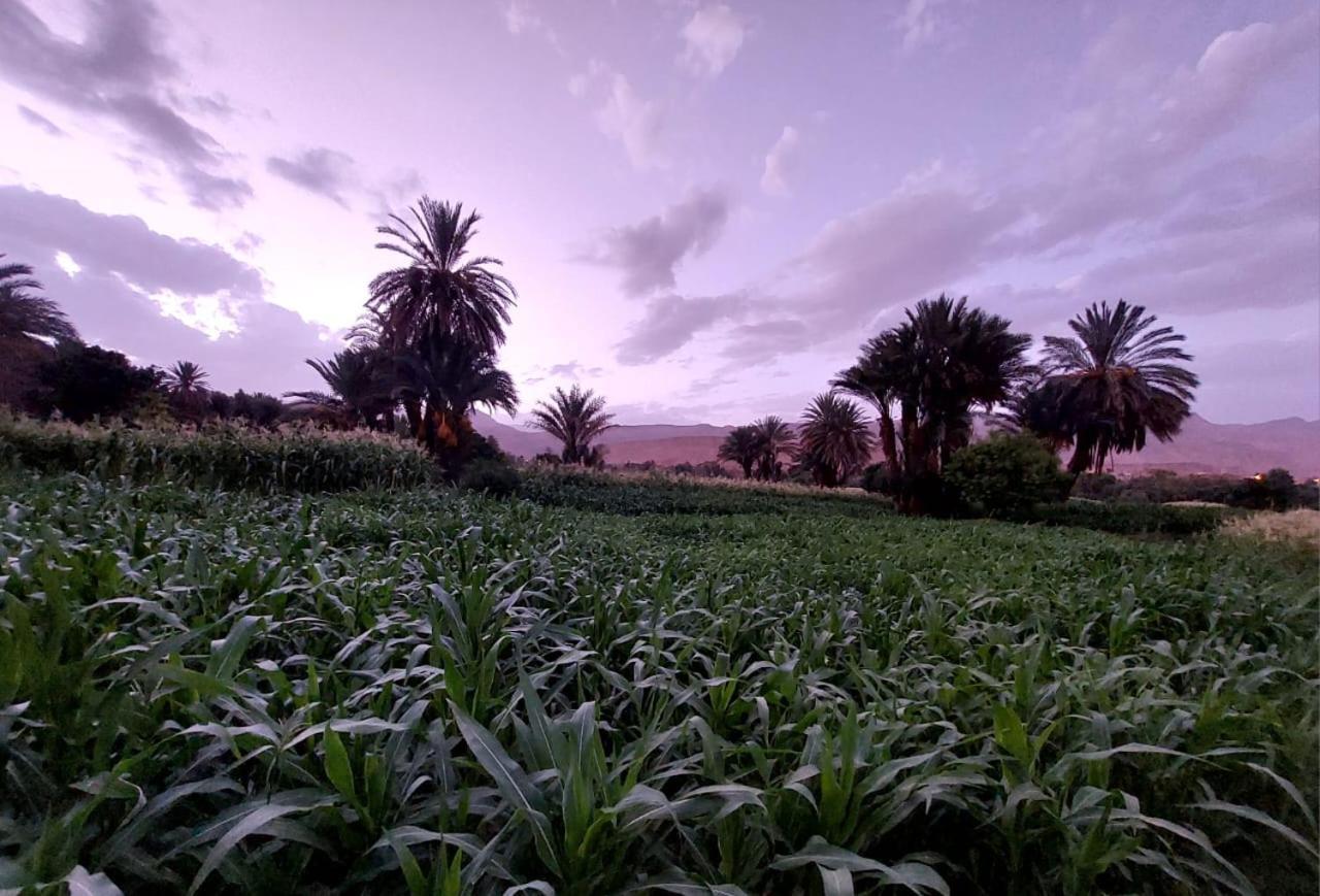 Riad Iriki Tinghir Exteriér fotografie